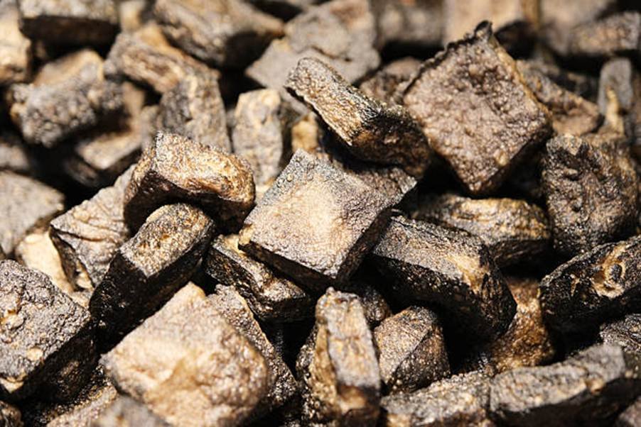 Everything You Need to Know About Turkey Liver for Dogs’ Health, Energy, and Immunity
